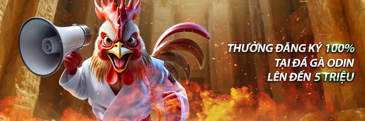 Tải ứng dụng tnc365 trên điện thoại, trải nghiệm cá cược trực tuyến đẳng cấp