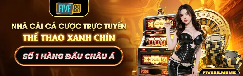 Đấu trường đá gà trực tuyến tnc365