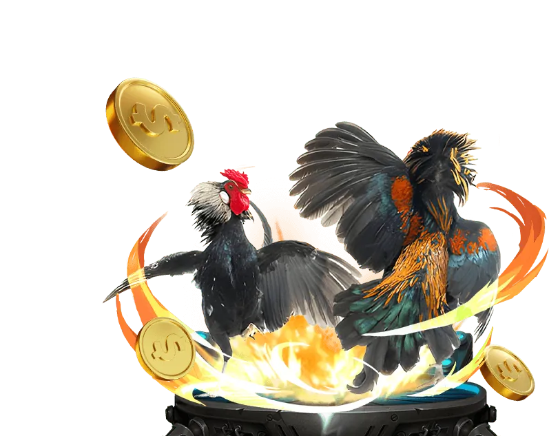 Nạp và Rút Tiền Tại TNC365